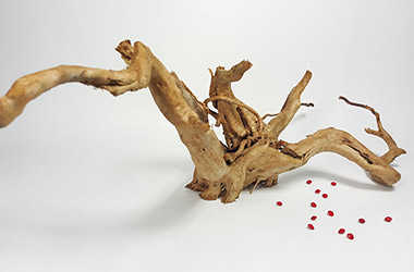 Driftwood No.1 by NAFA alumni artist. Art guide to fine art in Singapore contemporary photography art prints centred on experimental photography, urban art, installation art and fine art curriculum academic studio practice in Singapore contemporary arts scene, art space and art culture