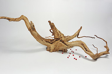 Driftwood No.2 by NAFA alumni artist. Art guide to fine art in Singapore contemporary photography art prints centred on experimental photography, urban art, installation art and fine art curriculum academic studio practice in Singapore contemporary arts scene, art space and art culture
