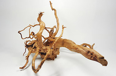 Driftwood No.3 by NAFA alumni artist. Art guide to fine art in Singapore contemporary photography art prints centred on experimental photography, urban art, installation art and fine art curriculum academic studio practice in Singapore contemporary arts scene, art space and art culture