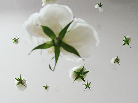 A natural approach to experimental art from a realist's point of view