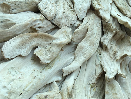 Nature in Realism photography now, a critical comparison of intuitive art in photography and Contemporary Realist drawing techniques created by Singapore visual artists and the role it plays in South East Asian Art stage. A look at Singapore contemporary art in photography / Singapore past, present and future